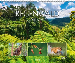 Regenwald | Gregor Calendar Award 2019 – Bronze