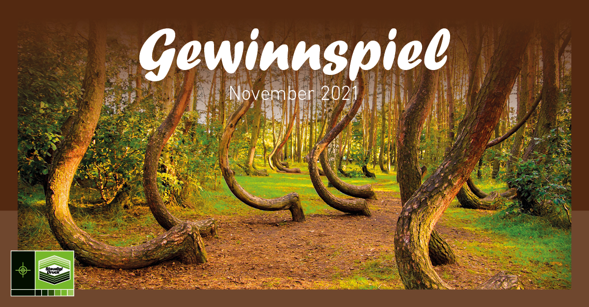 November 2021  Staudigl-Druck Gewinnspiel